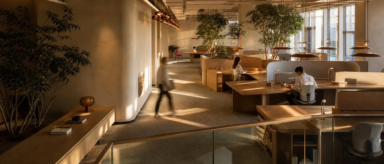 Warm, sunlit shared workspace